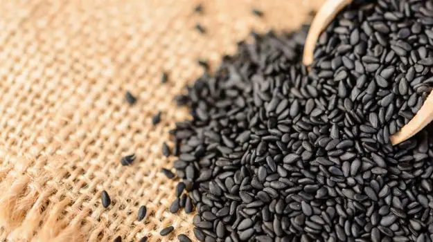 Black sesame seeds for Hindu cremation tarpana rituals